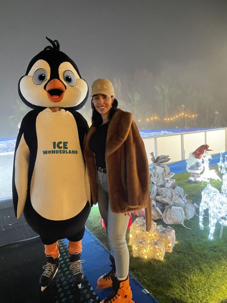Ice wonderland - Netflix 1